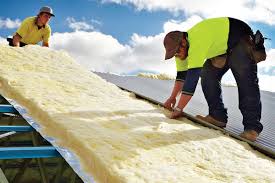 Best Commercial Insulation Services  in Nes, IL